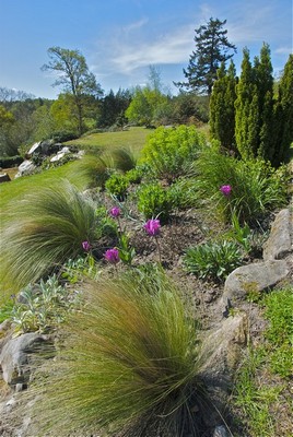 Landscape design Kent and Sussex